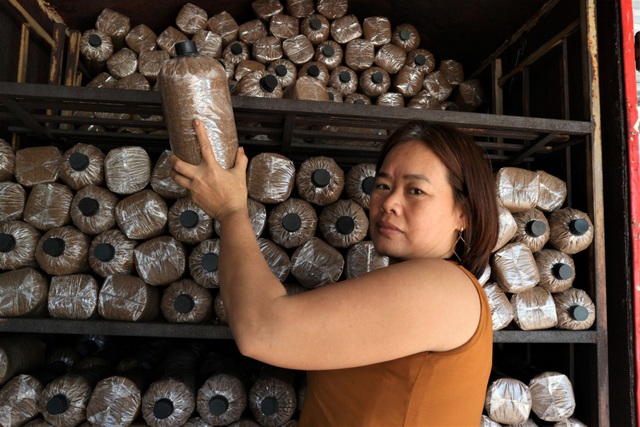 The woman rose out of poverty thanks to the mushroom farming model