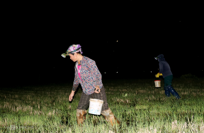 Field crab hunting season