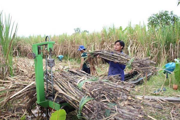 Extra sugar import tariff quota allocated via auction