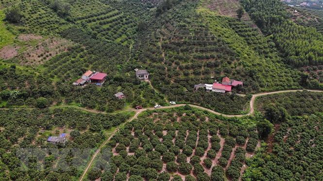 Vietnam set to have 1,600 more farming co-operatives this year