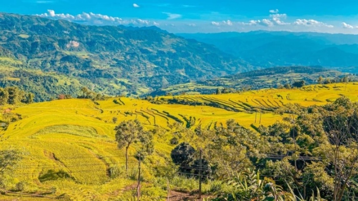 Hong Thai tour 2 days immersed in the beautiful beauty of ‘Sapa’ in the heart of Na Hang