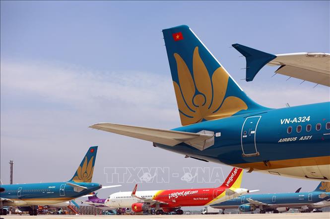 CAAV proposes local carriers add planes to meet demand