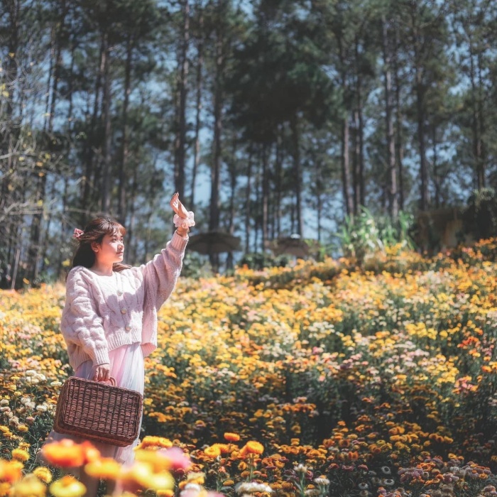 Revealing the beautiful New Year check-in locations in the Central Highlands for the first spring trip of the year