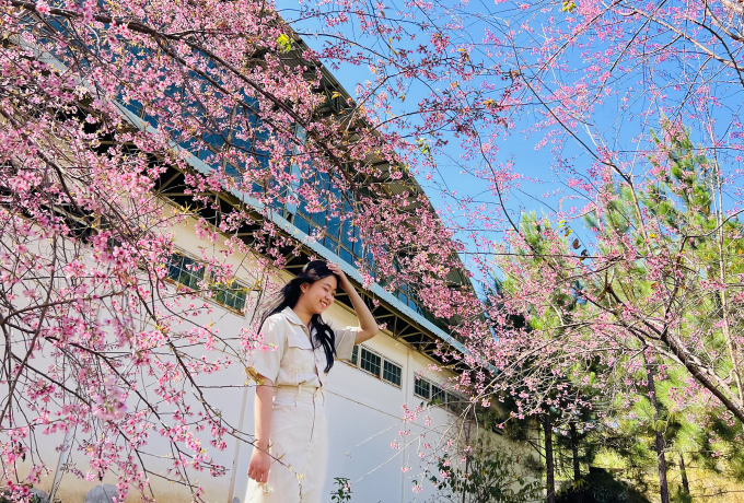 Spring trip to Mang Den to see cherry apricots
