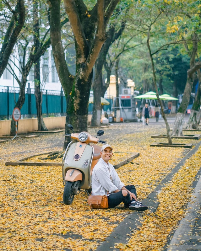 At the beginning of spring, in Hanoi, there was a place where the yellow leaves fell beautifully, causing people to rush to check-in.