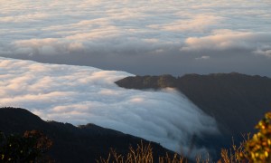 Go through the primeval forest to discover new peaks in Ta Xua