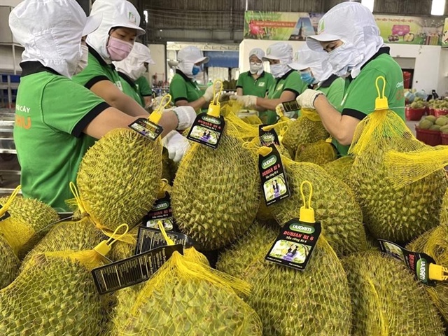 Good omens for Vietnamese agricultural exports this year