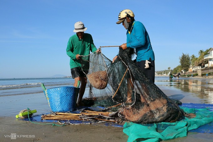 Shrimp season in Phan Thiet beach