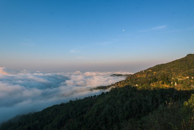 Ta Xua is surprisingly beautiful in the colorful peach blossom season among the sea of clouds, the virtual life enthusiasts are excited to go hunting together