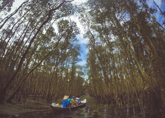 Vo Doi Forest Village – an attractive destination for tourists in Ca Mau to learn the history and admire the natural scenery