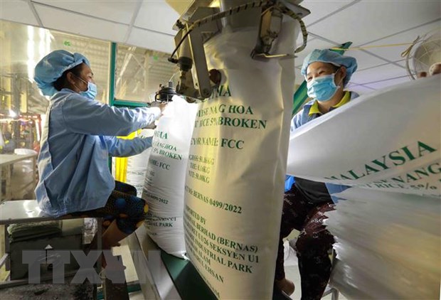 Rice exports down in Jan-Feb