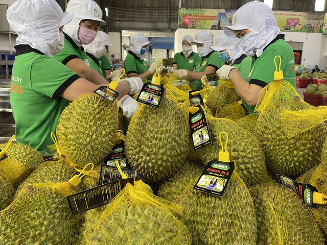 China becomes largest buyer of Vietnamese agro-forestry-fishery products