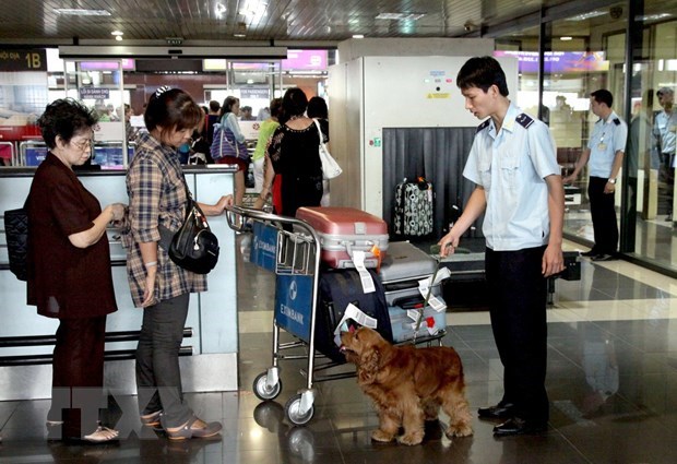 New force formed to fight smuggling by air