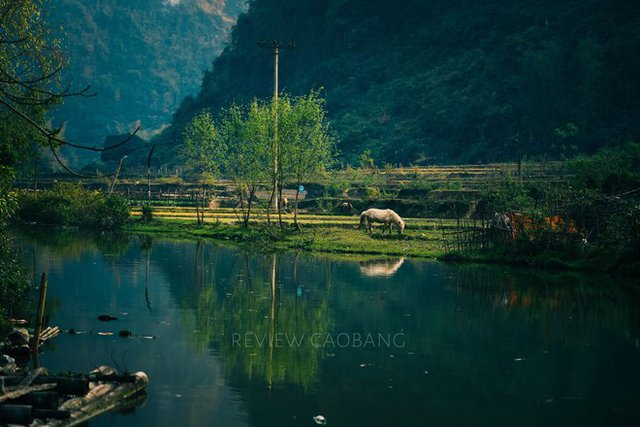 Fascinated with the rustic beauty of the “forgotten” 400-year-old ancient stone village in Cao Bang