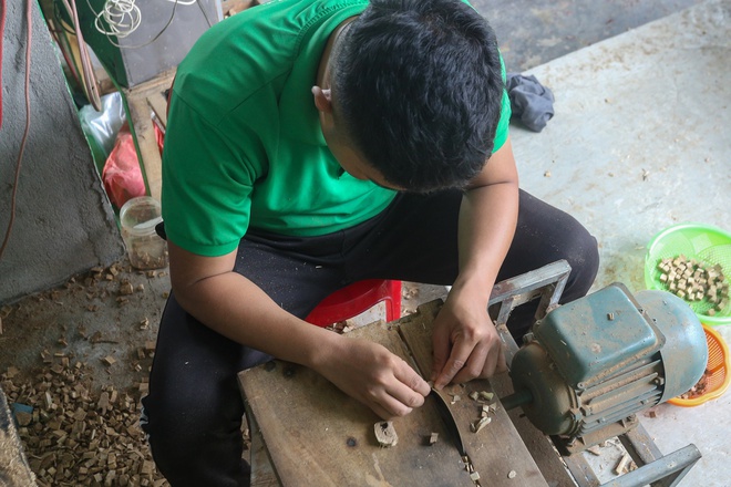 Quang Nam: Defaulted because of 3 failed startups, holding a debt of 200 million, the boy returned to his hometown to find “gold” in the tree and changed his life from there