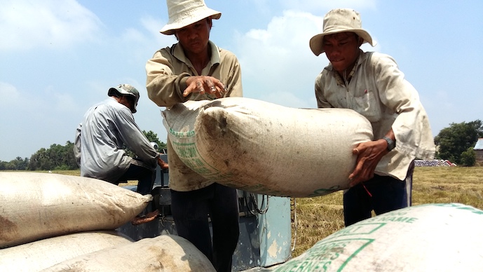 Indonesia emerges as third largest buyer of Vietnamese rice