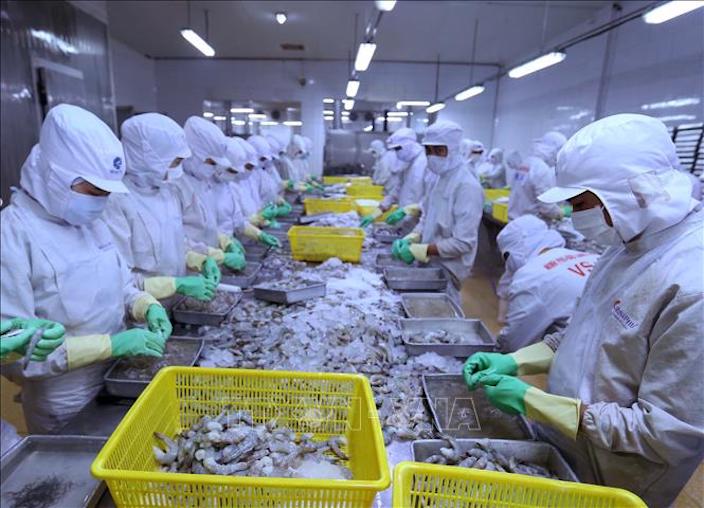 Weak demand drives down shrimp prices