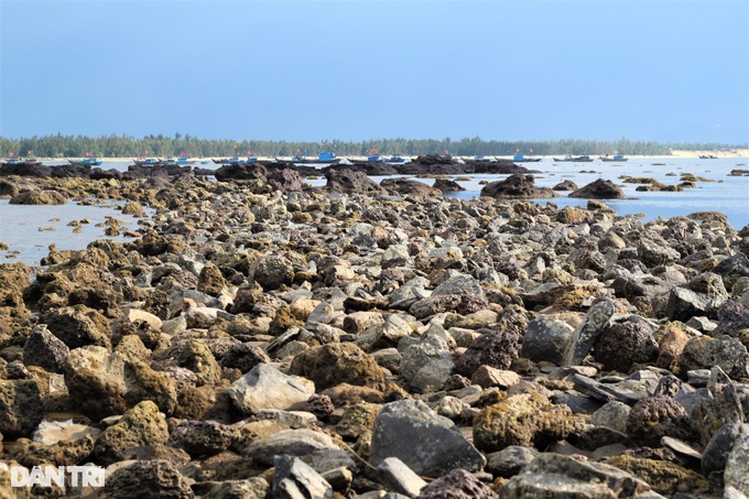 Fishermen “pick up money” on coral reefs