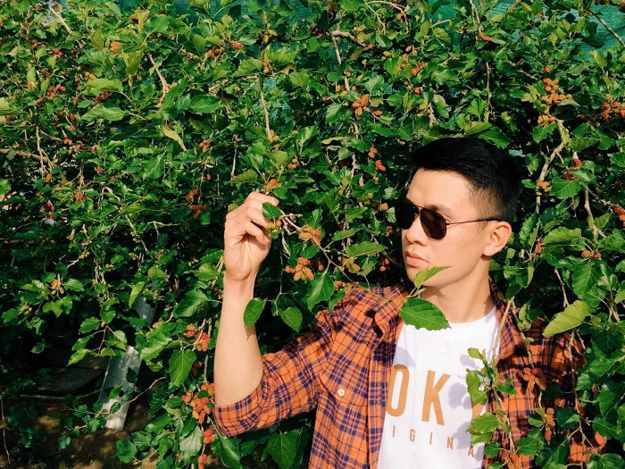 List of fruit gardens in An Giang full of tourists