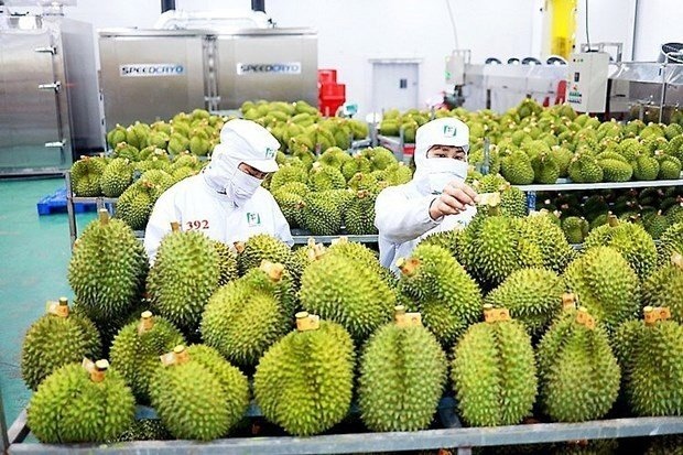 Vegetable and fruit exports expected to hit $4 billion this year » Breaking News, Latest World News Updates