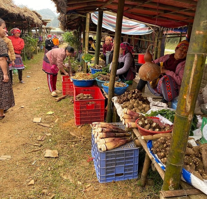 What to play in Mai Chau? Waterfall bathing, cloud hunting and unforgettable experiences