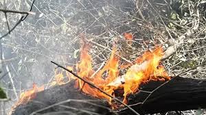 Couple Dies in Forest Fire in Ha Tinh Province
