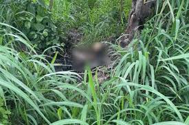 DNA Testing of Bones Believed to Belong to Missing MC in Ho Chi Minh City