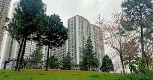 Experts Predict Decline in Apartment and Land Prices by Q3 2026