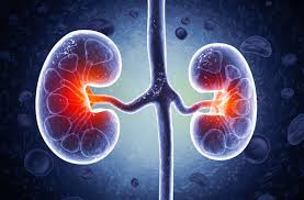 26-Year-Old Faces Kidney Failure: 5 Harmful Habits to Avoid