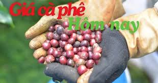 Coffee Prices Drop Again on July 9, 2026