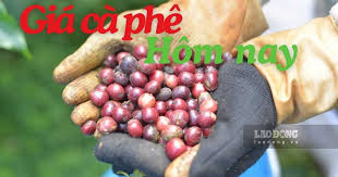 Coffee Prices Drop Slightly in Vietnam on July 14