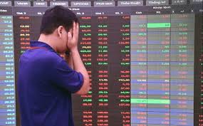 Ha Do Group's Stock Faces Significant Decline