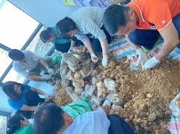 Hiệp Phước Agricultural Council Enhances Workforce Training