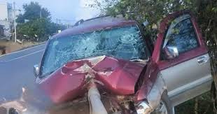 Local Party Secretary Dies in Traffic Accident
