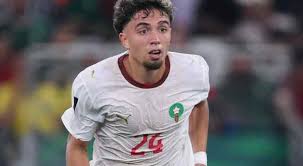 Manchester United Warned Against Signing Neil El Aynaoui