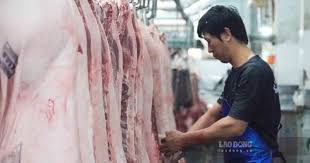 Pork Prices Rise Slightly in Central Vietnam