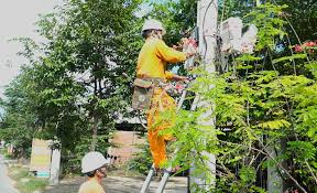Power Outage Schedule in Vinh Long from July 6-12, 2026