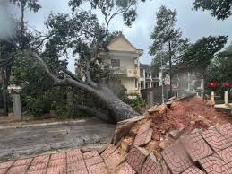 Severe Winds Hit Bach Long Vi Island as Storm No. 1 Approaches