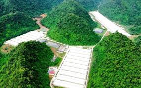 Tragic Accident at Dabaco Pig Farm Claims Five Lives