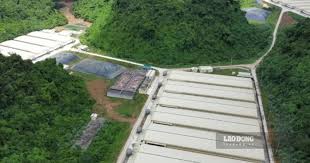 Tragic Accident at Dabaco Pig Farm Claims Three Lives