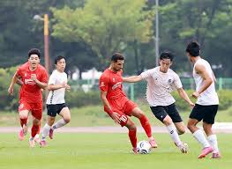 Vietnam National Football Team Dominates Siheung FC in Korea