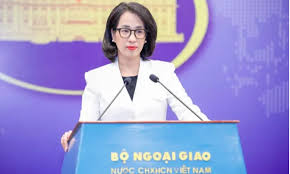 Vietnam's Foreign Ministry Responds to Human Rights Allegations