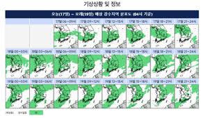 Weather Forecast for July 17: Heavy Rain Expected
