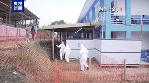WHO Official Warns of Underreported Ebola Outbreak in Africa