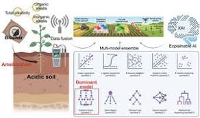AI Enhances Biochar Strategies for Acidic Soils