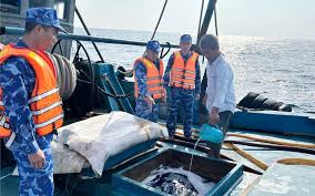 Authorities Seize Vessel Transporting 130,000 Liters of Illegal Oil