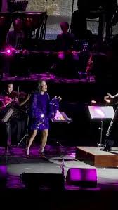 Concert Celebrates Legacy of Musician Thanh Tùng