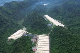 Criminal Case Filed After Fatal Accident at Thanh Hoa Pig Farm