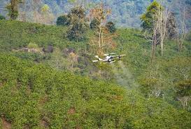 Dien Bien to Test 6,000 Drone Flights for Economic Development