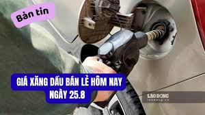 Fuel Prices Remain Stable at PVOIL on August 25